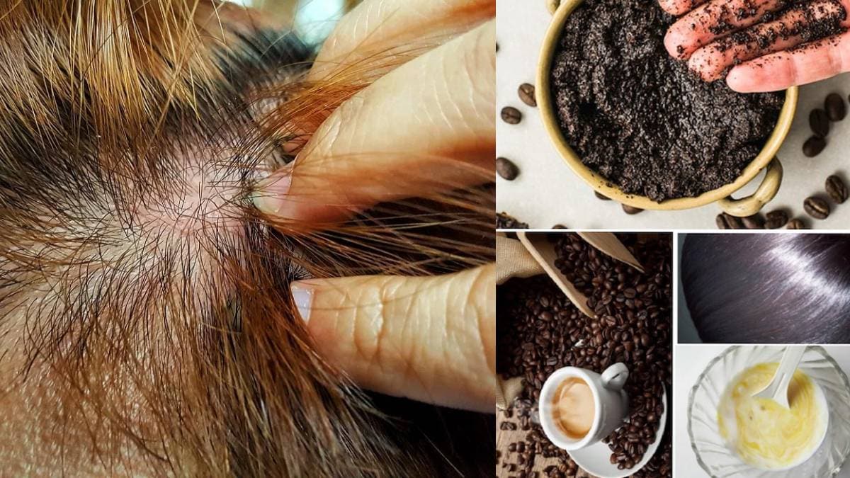 Coffee For Hair Growth कफन कस धणयच फयद महत आहत क एकद