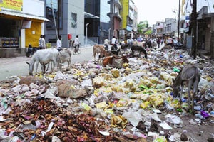 कचऱ्याचा प्रश्न ऐरणीवर, लातूरकरांची पुन्हा कोंडी