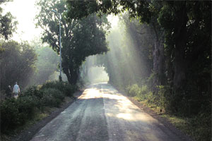 थंडी गायब : तापमान १४.५ अंशावर