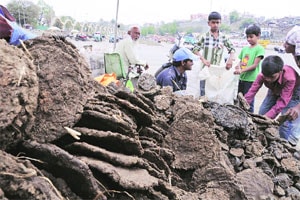 टंचाईच्या सावटाखाली होळी