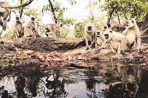 सृजनवेळा!