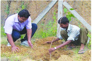 महामार्ग प्राधिकरणाकडून वृक्ष लागवडीत त्रृटी