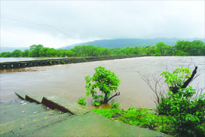 रायगडच्या पाताळगंगा नदीला पूर