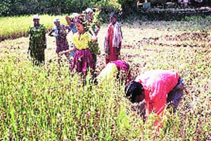 अंबरनाथच्या विद्यार्थ्यांनी ‘चित्रकूट’ अनुभवले