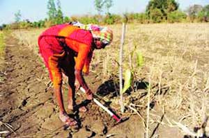 शेतीवर पाणी सोडण्याची तयारी!