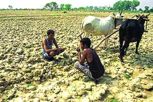 गारपीटग्रस्तांसाठी २०० कोटींची मदत