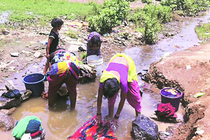 पनवेलमध्ये ‘गंगा’ अवतरली!