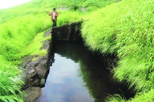 सह्याद्रीचं माणिक