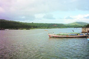 गाणी हृदयातील- मनातील