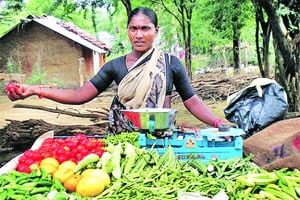 गावातल्या भाज्यांवर केडीएमसीचा ‘जिझिया’ कर