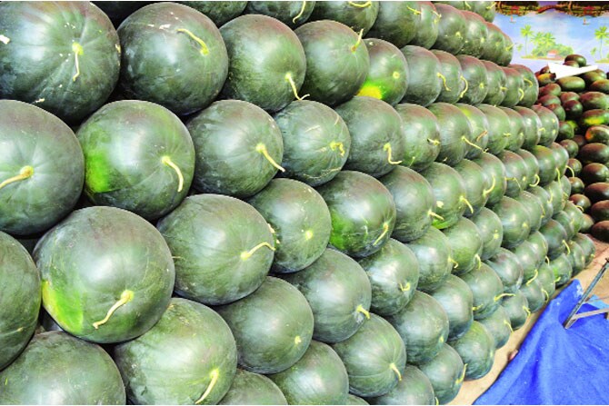 उष्म्याच्या कडाक्यापासून शरीराला काहीसा थंडावा मिळावा म्हणून नागरिकांकडून टरबुजांना असलेली मागणी लक्षात घेऊन नाशिक, मालेगाव, धुळे, जळगाव अशा मोटय़ा शहरांमध्ये मोठ्या प्रमाणावर टरबूजची आवक झाली आहे. (छाया- मनेश मासोळे)