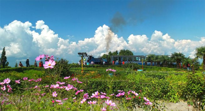 दार्जिलिंग