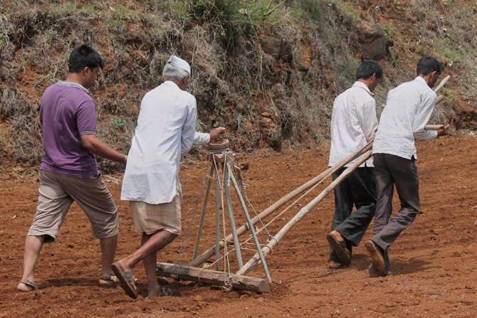 सांगलीच्या शिराळा तालुक्यातील येल्लापूर गावातील शेतकऱ्याने शुक्रवारी भात रोपांसाठी बियाणांची पेरणी केली. कमी जागेमध्ये ही पेरणी असल्यामुळे औताला बैल जुंपण्याची आवश्यकता भासत नाही. (छाया: पीटीआय)
