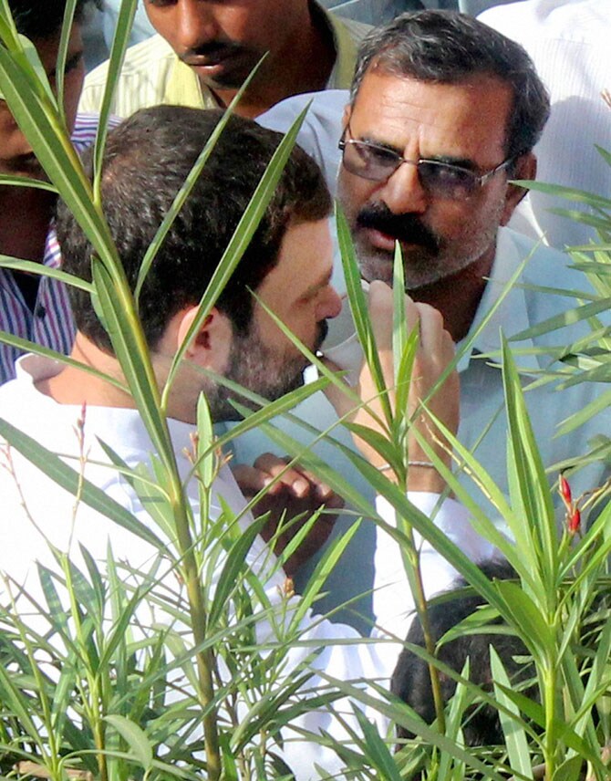 संसदेत कृषिमंत्री महाराष्ट्रात केवळ तीनच शेतकऱ्यांच्या आत्महत्या झाल्या, असे निवेदन देतात. इकडे शेकडो आत्महत्या होत असताना हरयाणाचे एक मंत्री शेतकऱ्यांना घाबरट संबोधतात. हा प्रकार संवेदनाशून्यतेचा आहे. सरकारचे शेतकऱ्यांकडे दुर्लक्ष होत असल्याचे पाहून आपल्याला दु:ख होत आहे, असे राहुल गांधी म्हणाले.(छाया: पीटीआय)