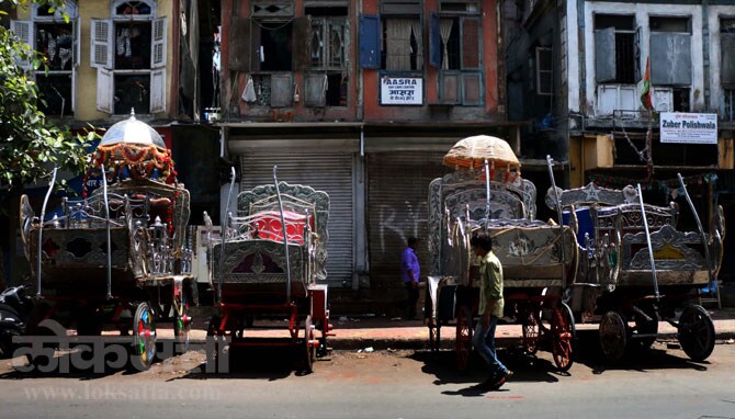 मुंबई उच्च न्यायालयाने शहरातील घोडागाडी आणि बग्गीवर बंदी घातल्याने ग्रँटरोडयेथील फॉकलँड मार्गावर उभ्या असलेल्या या घोडागाड्या. (छाया- अमित चक्रवर्ती)