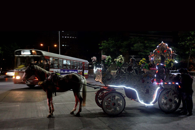 घोडय़ांना ठेवण्यासाठी, त्यांची काळजी घेण्यासाठी सरकारने सर्वसमावेशक योजना आखावी, असे आदेश न्यायालयाने दिले आहेत. (छाया - दिलीप कागडा)