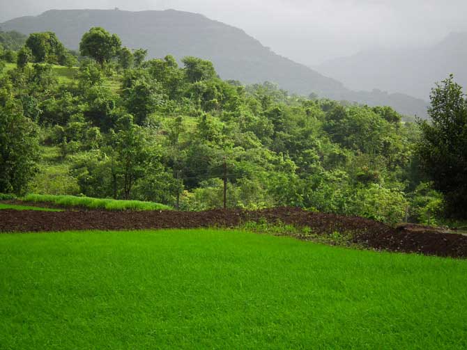 (छायाचित्र - अरविंद तेलकर)