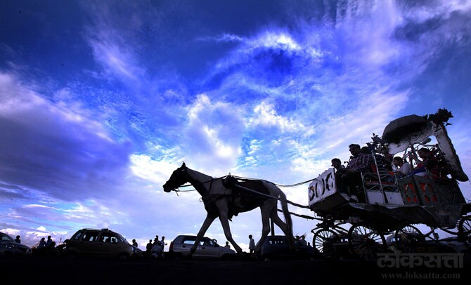 २०० वर्षांचा इतिहास असलेला मुंबईची घोडागाडी परंपरा या निर्णयामुळे खंडित होईल. (छाया- प्रदिप दास)