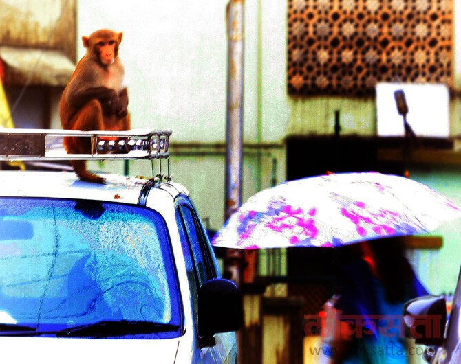 (छायाः गणेश शिर्सेकर)