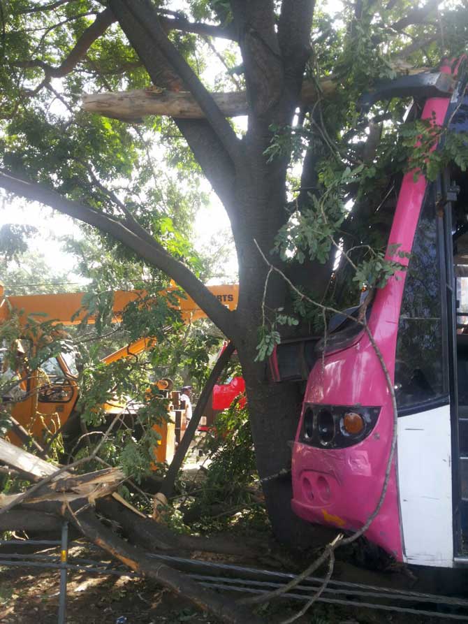 डंपरच्या धडकेने प्रवासी बस झाडावर जाऊन आदळली.