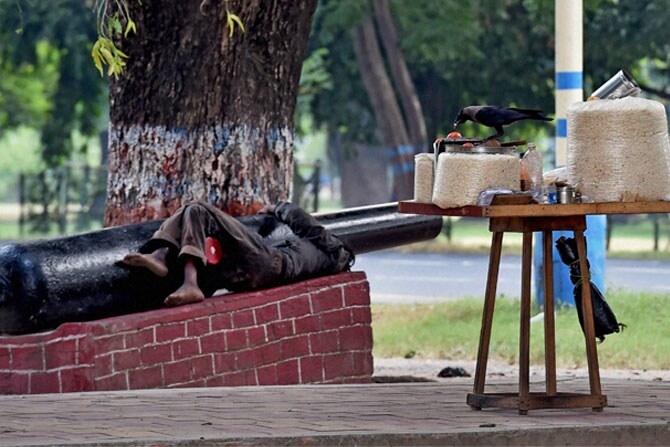 कोलकाता शहरात दुपारच्या वेळेत भेळविक्रेता वामकुक्षी घेत असताना या कावळ्यासाठी मेजवानीची आयतीच संधी चालून आली होती. (छाया- पीटीआय)