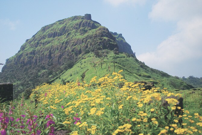 शिवछत्रपतींच्या वास्तव्याने पुनित झालेला राजगड म्हणजे अवघ्या मराठी माणसाच्या दृष्टीने उत्तुंगतेचा, पराक्रमाचा परमावधी! पण राजगड त्याहीपलीकडे जाऊन आपल्या राकटपणाची मोहिनी घालत राहतो. गडावर जाण्यासाठी अनेक मार्ग आहेत. १.गुप्तदरवाज्याने राजगड: पुणे - राजगड अशी एस.टी पकडून आपल्याला वाजेघर या गावी उतरता येते.बाबुदा झापा पासून एक तासाच्या अंतरावर रेलिंग आहेत.यांच्या साह्याने अत्यंत कमी वेळात राजगडावर जाता येते.यावाटेने गडावर जाण्यास ३ तास लागतात.