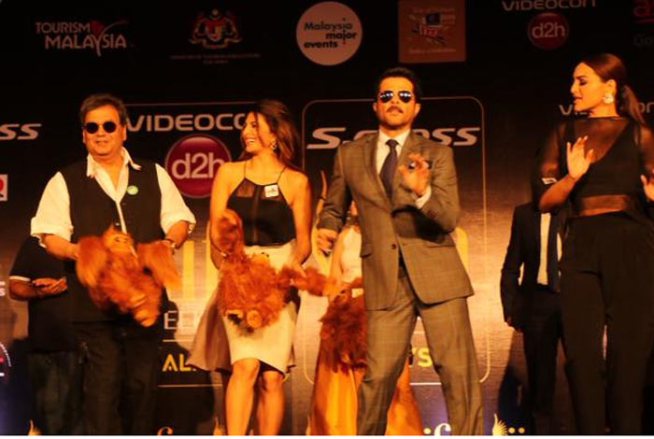 बॉलीवूडकरांचा ‘आयफा’ फिव्हर