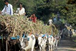 दौलत साखर कारखाना ‘कुमुदा शुगर्स’ला भाडेतत्त्वावर