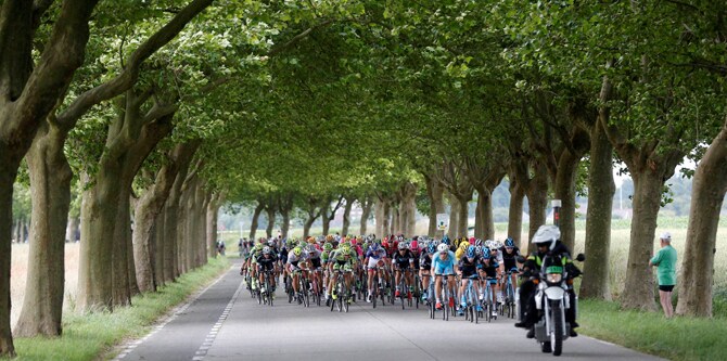 'टुर दी फ्रान्स' या जगप्रसिद्ध सायकल शर्यतीच्या चौथ्या टप्प्यातील दृश्य. तब्बल 223.5 किलोमीटर अंतराच्या या शर्यतीमध्ये स्पर्धकांचा कस पाहिला जातो. (छाया- पीटीआय)