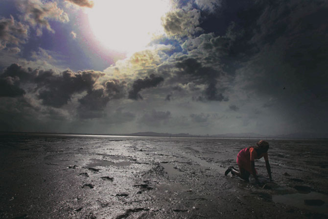 नवी मुंबईतील वाशी खाडीच्या किनाऱ्यावर आकाशात काळ्या ढगांनी दाटी केली होती. त्या पार्श्वभूमीवर खेकडे पकडताना एका मच्छिमार महिलेचे टिपलेले छायाचित्र. (छाया- नरेंद्र वास्कर)