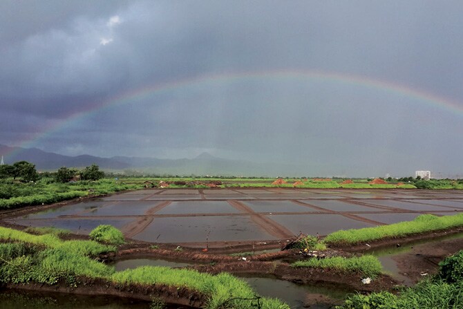 अमेरिकेच्या वॉशिंग्टन शहरामधील राष्ट्रीय संग्रहालयाच्या इमारतीमध्ये भरवण्यात आलेल्या प्रदर्शनातील 'द ओशियन' ही कलाकृती. (छाया- पीटीआय)