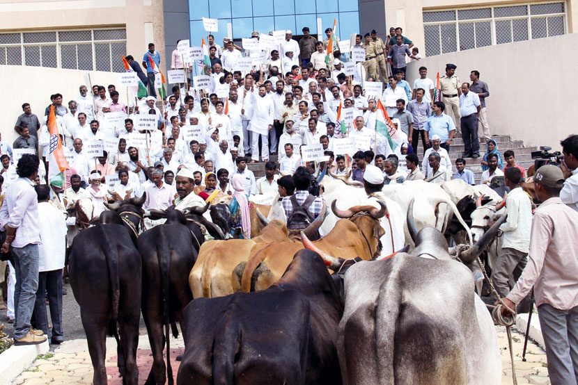 दुष्काळप्रश्नी काँग्रेसचा लातूरमध्ये आसूड मोर्चा