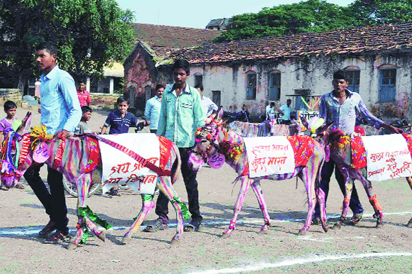 उपक्रम : गाढवांचा फॅशन शो..!!