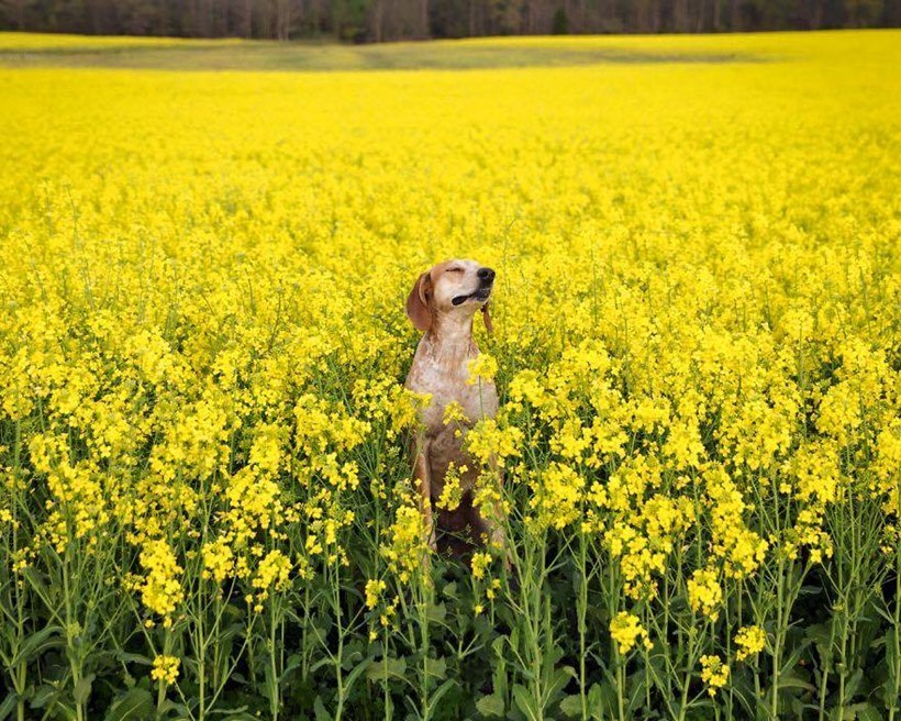 (छाया सौजन्यः इन्स्टाग्राम/ दिसवाइल्डआयडिया)