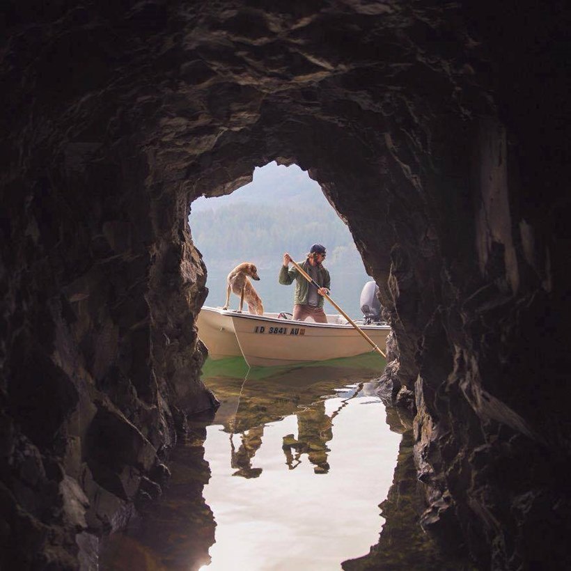 (छाया सौजन्यः इन्स्टाग्राम/ दिसवाइल्डआयडिया)