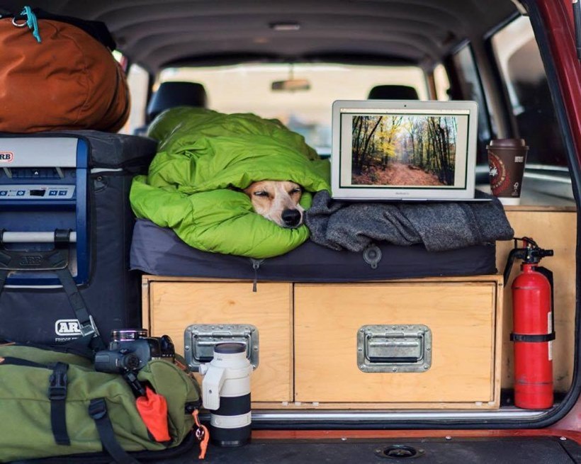 (छाया सौजन्यः इन्स्टाग्राम/ दिसवाइल्डआयडिया)