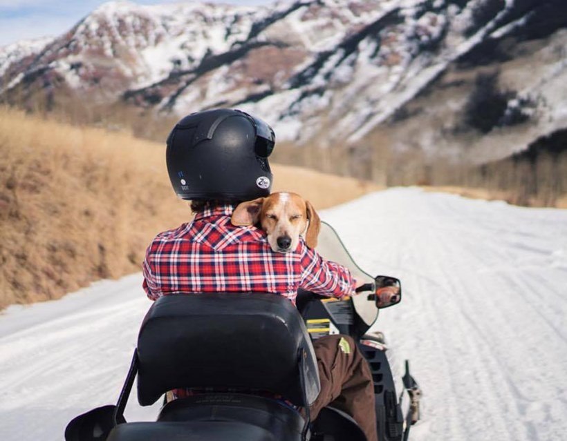 (छाया सौजन्यः इन्स्टाग्राम/ दिसवाइल्डआयडिया)