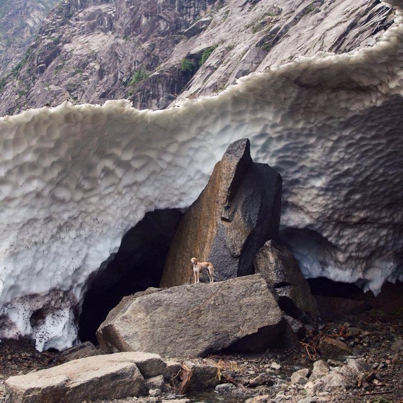 (छाया सौजन्यः इन्स्टाग्राम/ दिसवाइल्डआयडिया)