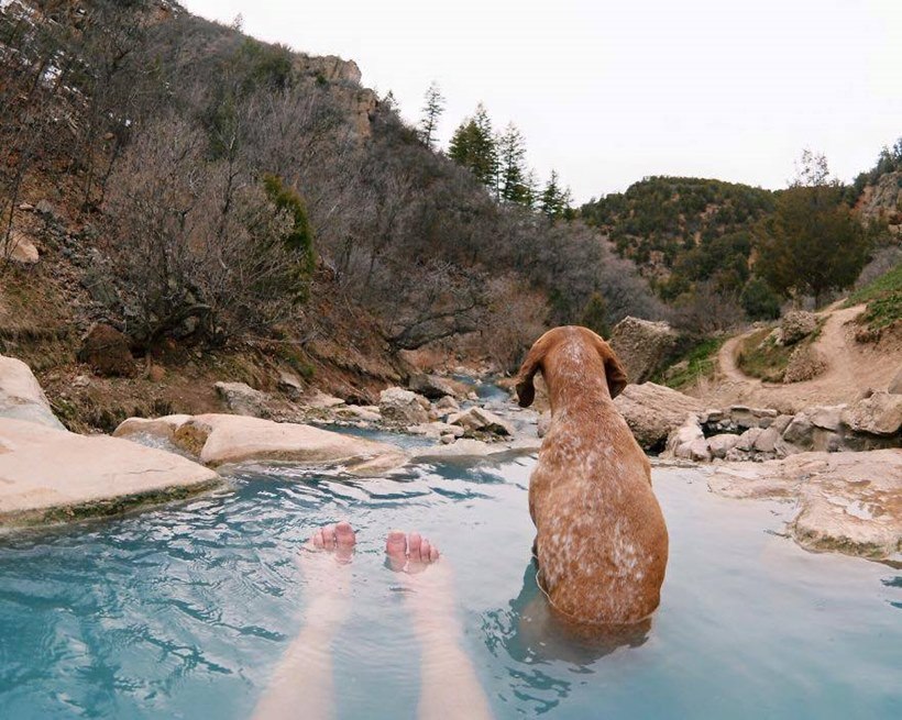 (छाया सौजन्यः इन्स्टाग्राम/ दिसवाइल्डआयडिया)