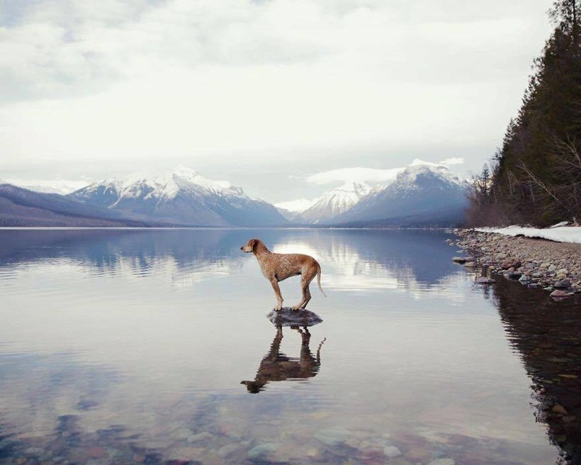(छाया सौजन्यः इन्स्टाग्राम/ दिसवाइल्डआयडिया)