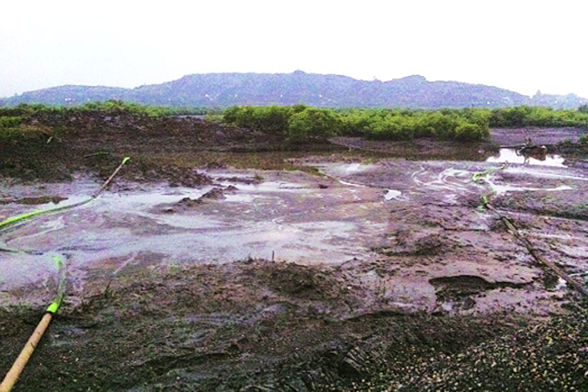 या सगळ्याची दखल घेत तसेच सरकारच्या भूमिकेबाबत न्यायालयाने संताप व्यक्त केला. 