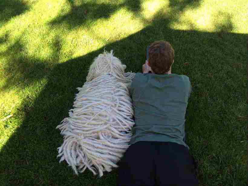 मार्क झकबर्गची लिटल मॅक्स झाली ‘फेसबुक स्टार’