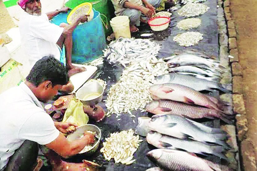 डोंबिवली शहरामध्ये मांसाहार करणाऱ्यांसाठी इतर शहरांच्या तुलनेत अधिक पैसे मोजावे लागतात. 