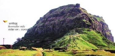 50-lp-fort