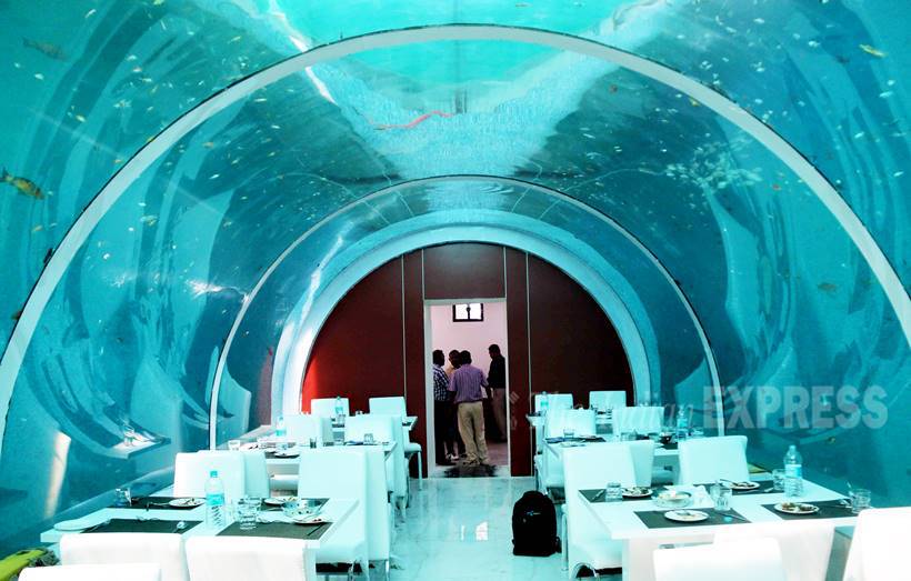 10 underwater themed restaurants in the world , underwater restaurant in Ahmedabad, see pics, Tourism, amazing hotels, Loksatta, Loksatta news, Marathi, Marathi news