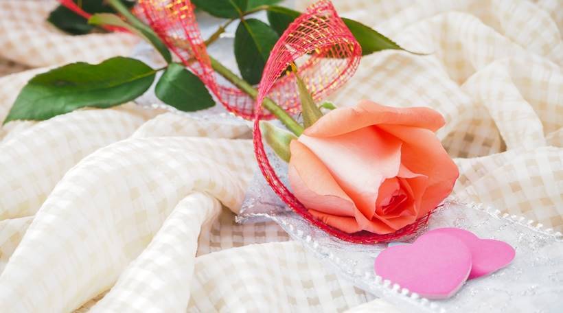 केशरी गुलाब- केशरी रंगाचे गुलाब आवड आणि उर्जेचे प्रतिक मानले जाते. या रंगाचे गुलाब देऊन तुम्ही मनातील उत्कट भावना व्यक्त करू शकता. (छाया- थिंकस्टॉक इमेजेस)