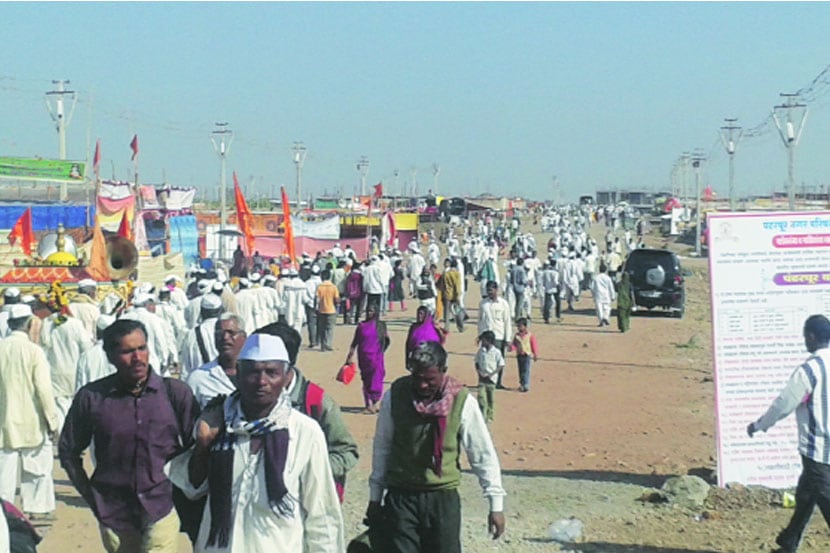 माघी एकादशीनिमित्त पंढरीत दाखल झालेले वारकरी.