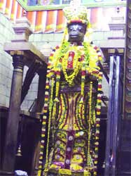 19-lp-hanuman