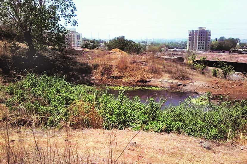 खुंटवली गावाच्या पलीकडच्या उजाड डोंगरावर आता एप्रिलच्या मध्यावरही किमान पाच ते सहा जिवंत पाण्याचे झरे आहेत. 