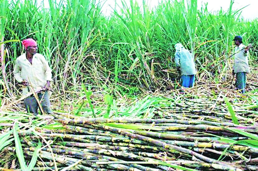 ‘ठिबक’चे अनाकलनीय राजकारण